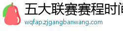 五大联赛赛程时间表2024年